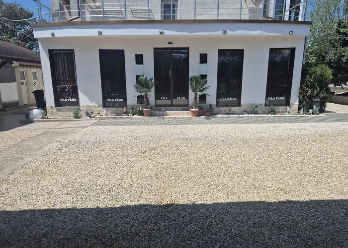 Vila Paun Costineşti